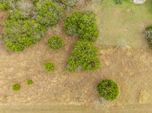 39196 Cross Timber Drive - Photo 4