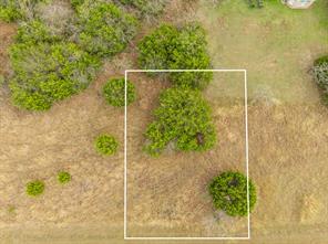 39196 Cross Timber Drive - Photo 8