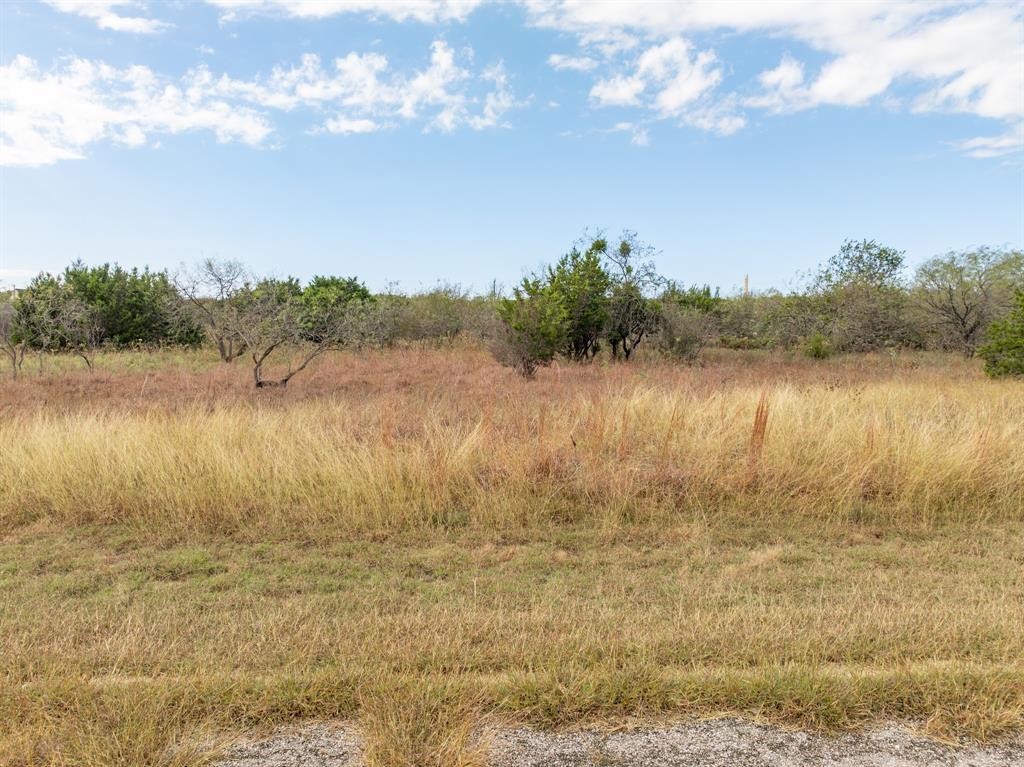 39213 Shadow Ridge Drive - Photo 1