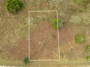 39213 Shadow Ridge Drive - Photo 8