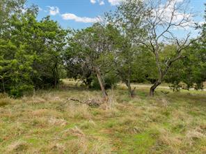 40050 Elmwood Drive - Photo 5
