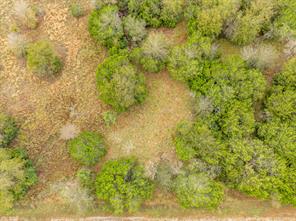 40050 Elmwood Drive - Photo 7