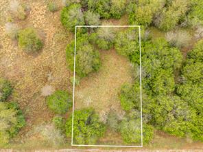 40050 Elmwood Drive - Photo 8