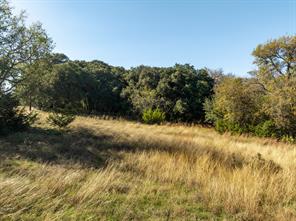42017 Preston Trail - Photo 5