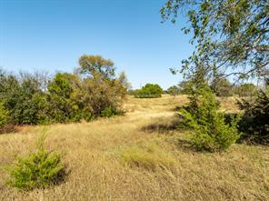 42017 Preston Trail - Photo 6