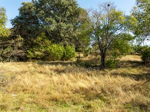 42019 Preston Trail - Photo 4