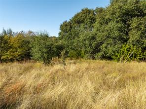 42019 Preston Trail - Photo 5