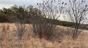 Lot 295 Shooting Star Court - Photo 2