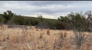 Lot 295 Shooting Star Court - Photo 3