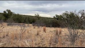 Lot 295 Shooting Star Court - Photo 5