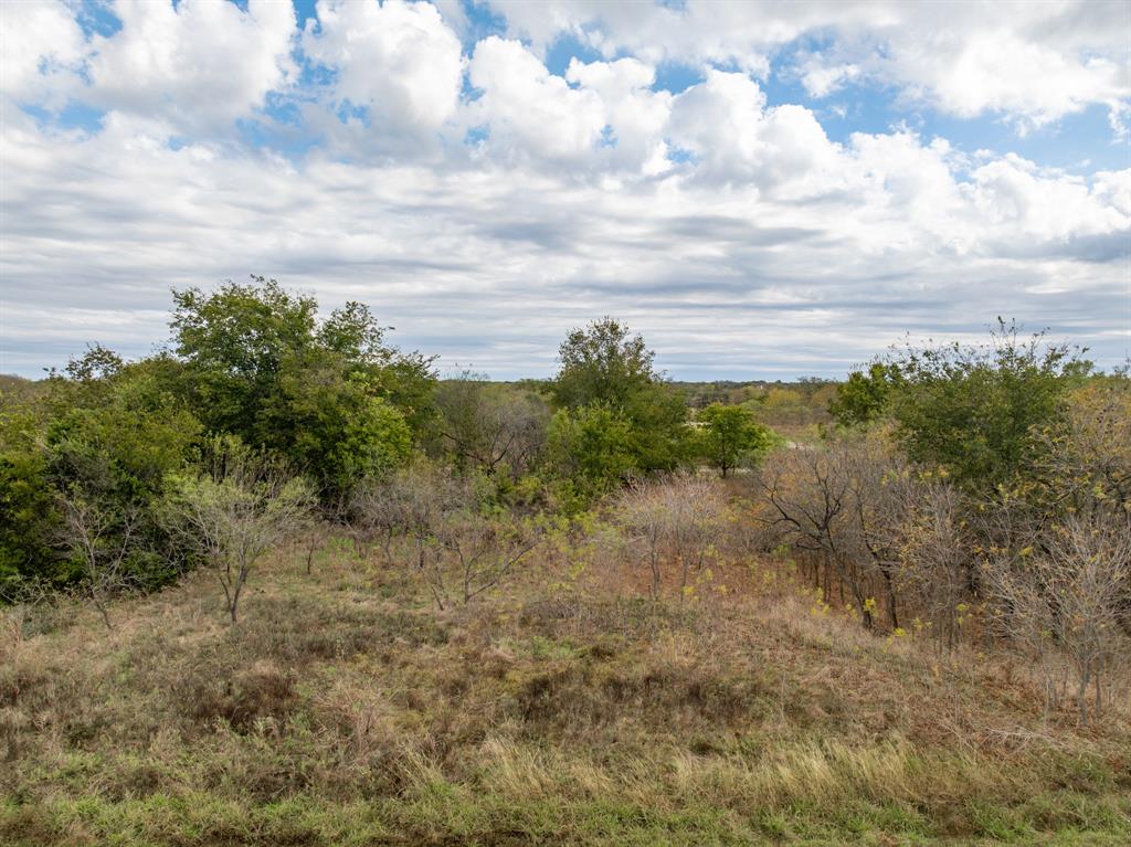 39208 Cross Timber Drive - Photo 1