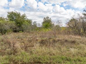 39208 Cross Timber Drive - Photo 5