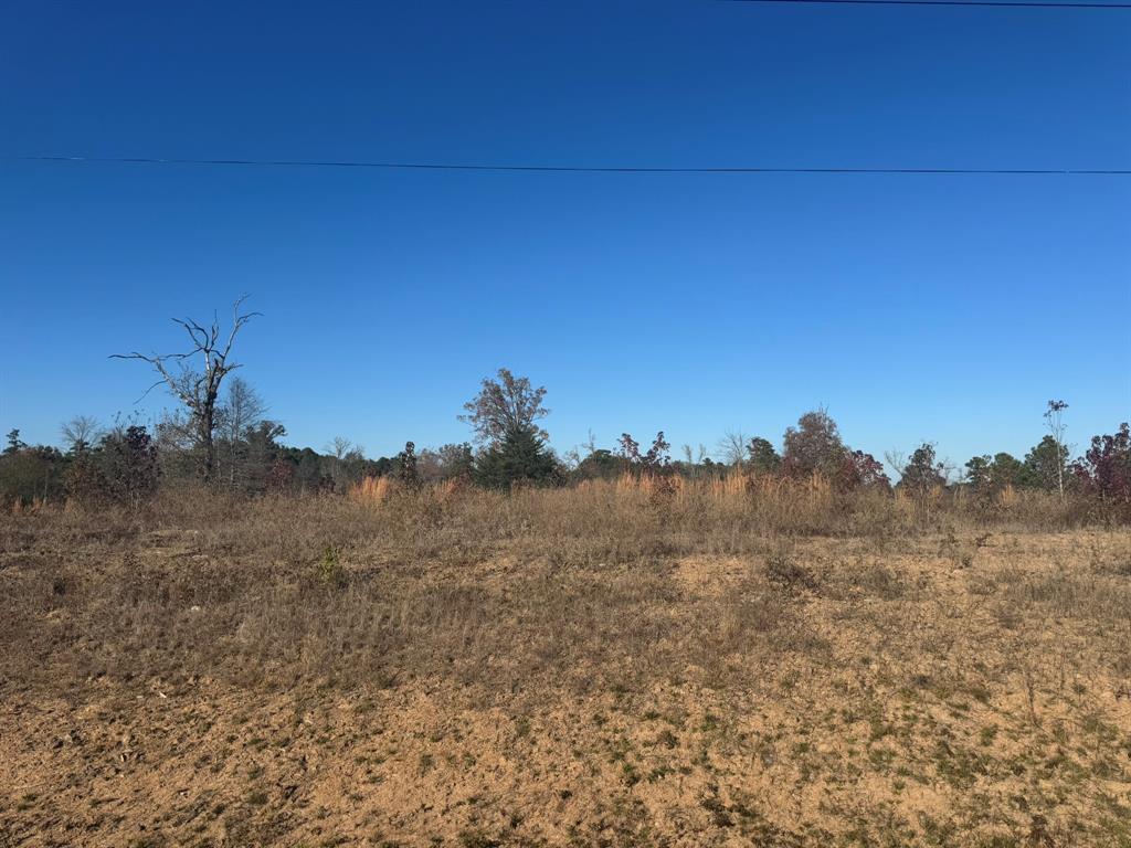 16705 Ridgeline Loop - Photo 1