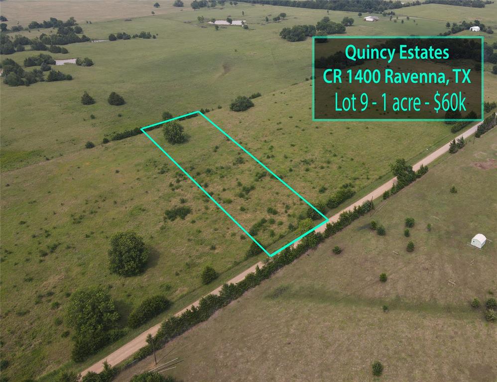 Lot 9 County RD 1400 - Photo 1