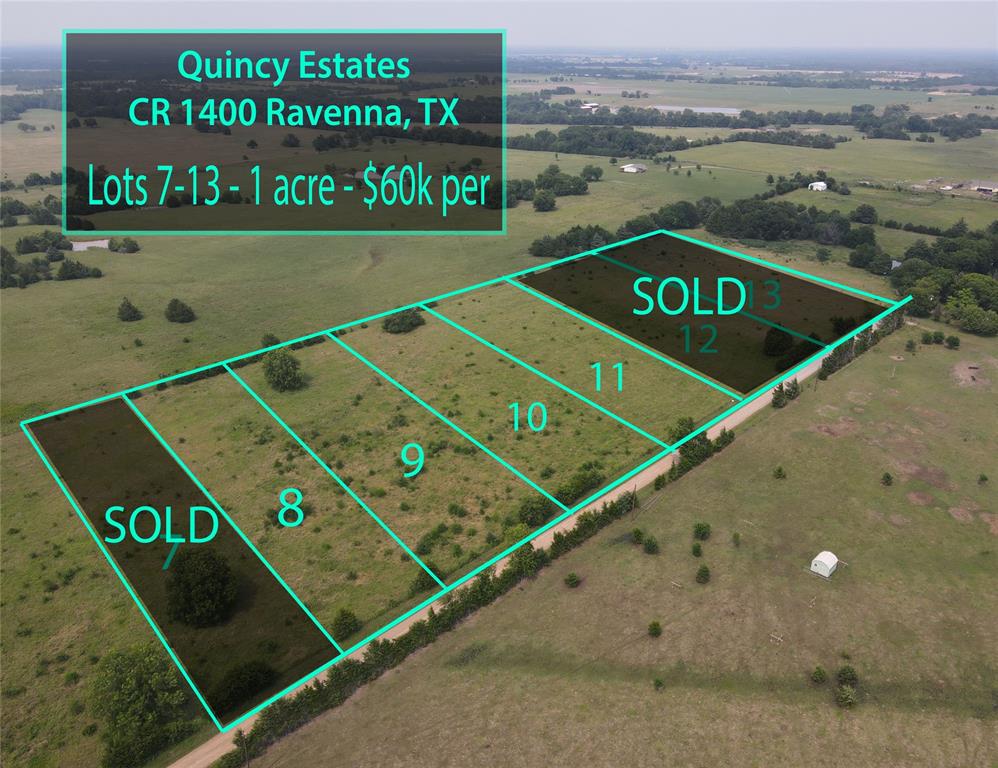 Lot 9 County RD 1400 - Photo 2