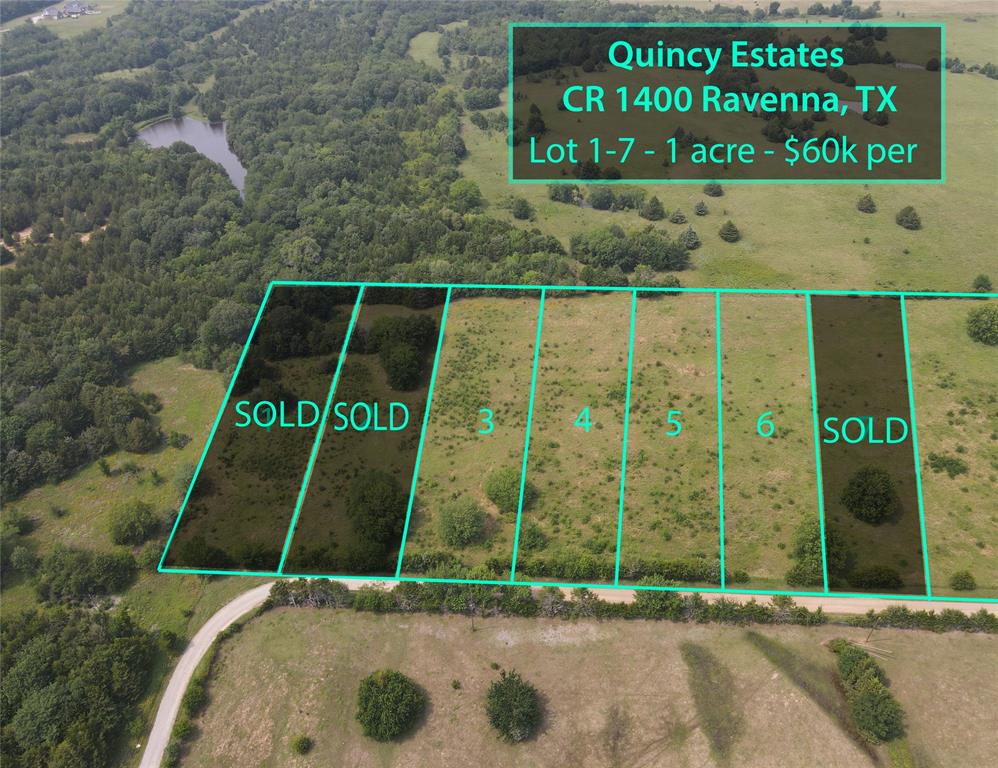 Lot 9 County RD 1400 - Photo 4