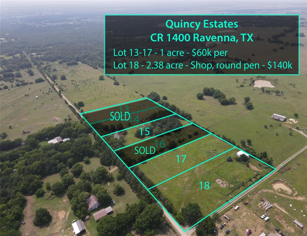 Lot 9 County RD 1400 - Photo 5