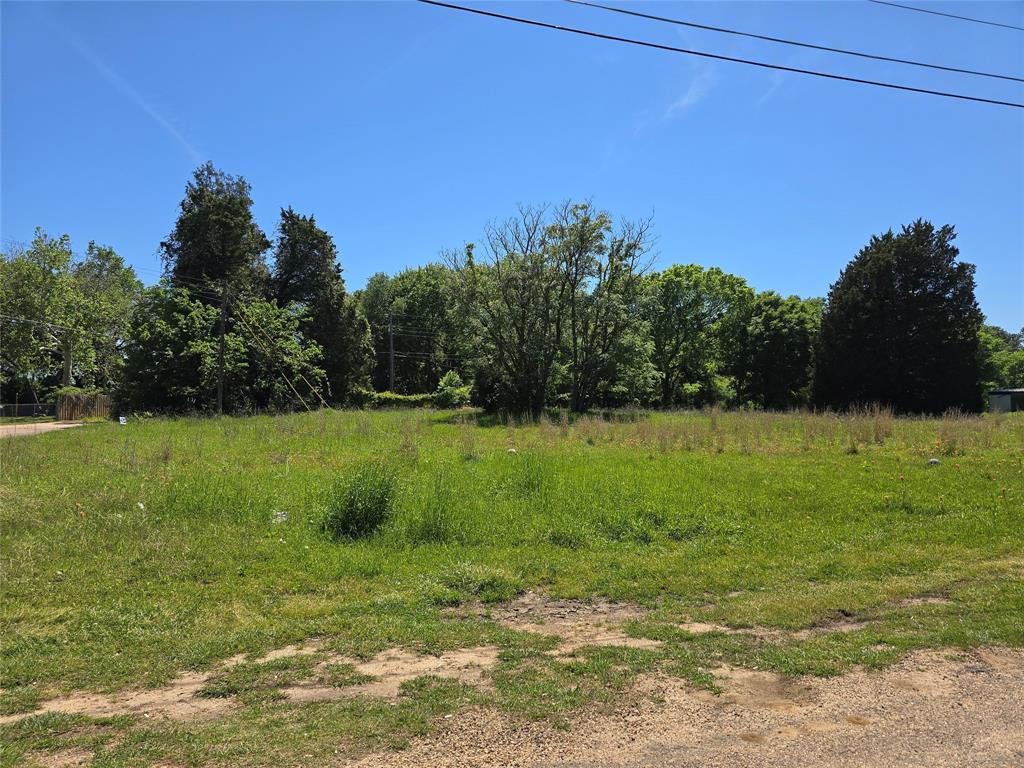 152 Lynn Creek Drive - Photo 4