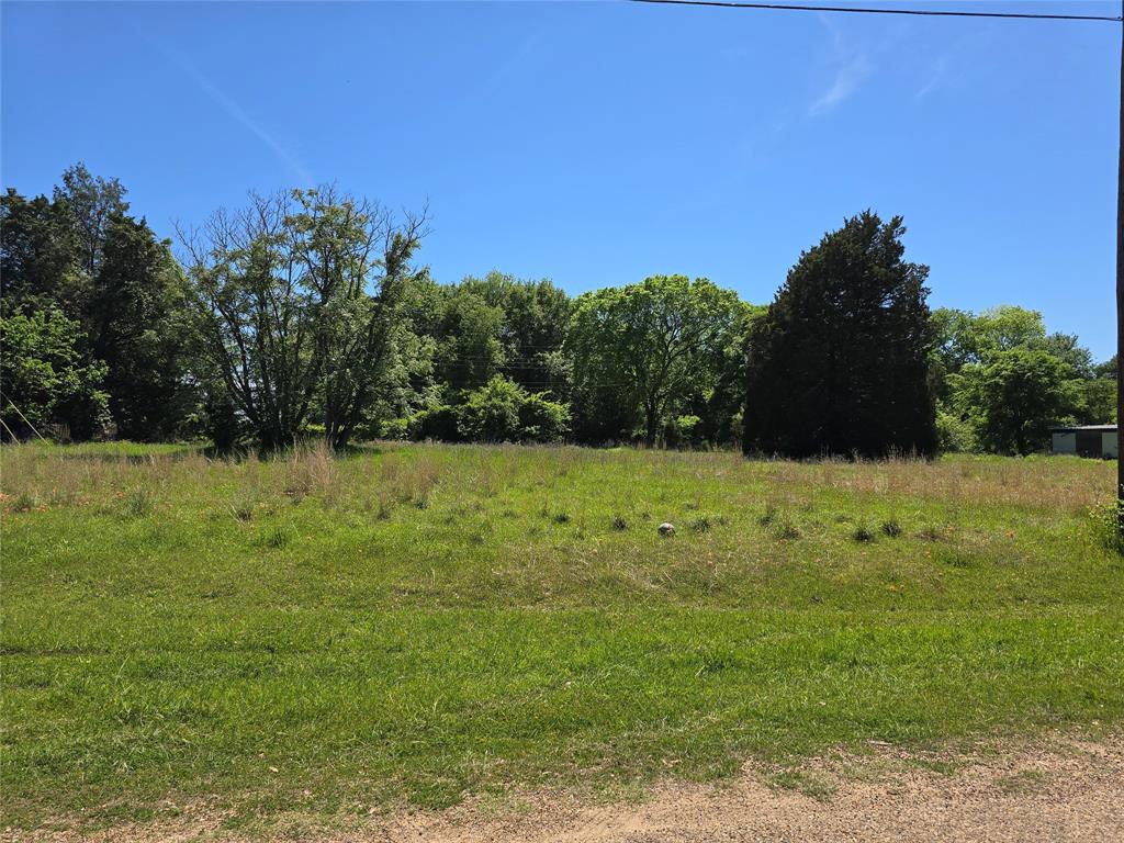 152 Lynn Creek Drive - Photo 5