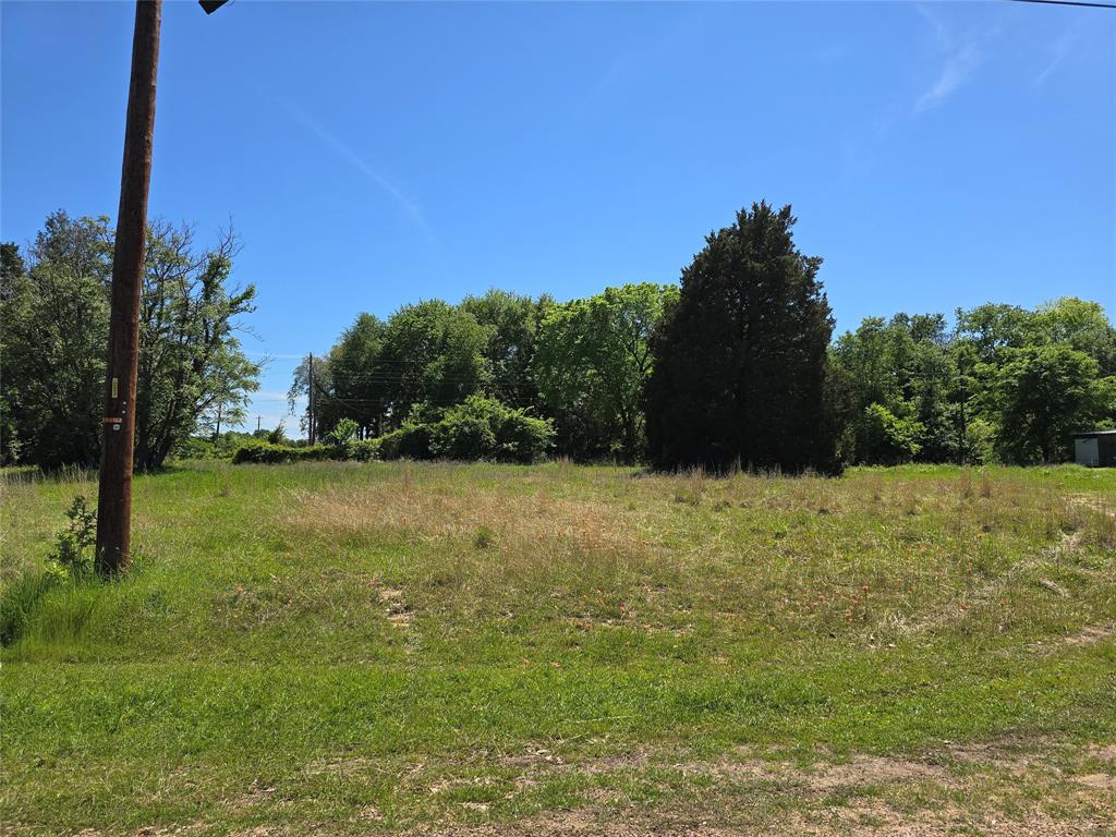 152 Lynn Creek Drive - Photo 6
