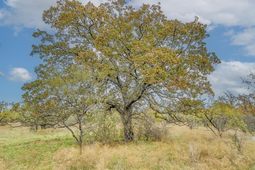 191+-Ac FM 2945 - Photo 9