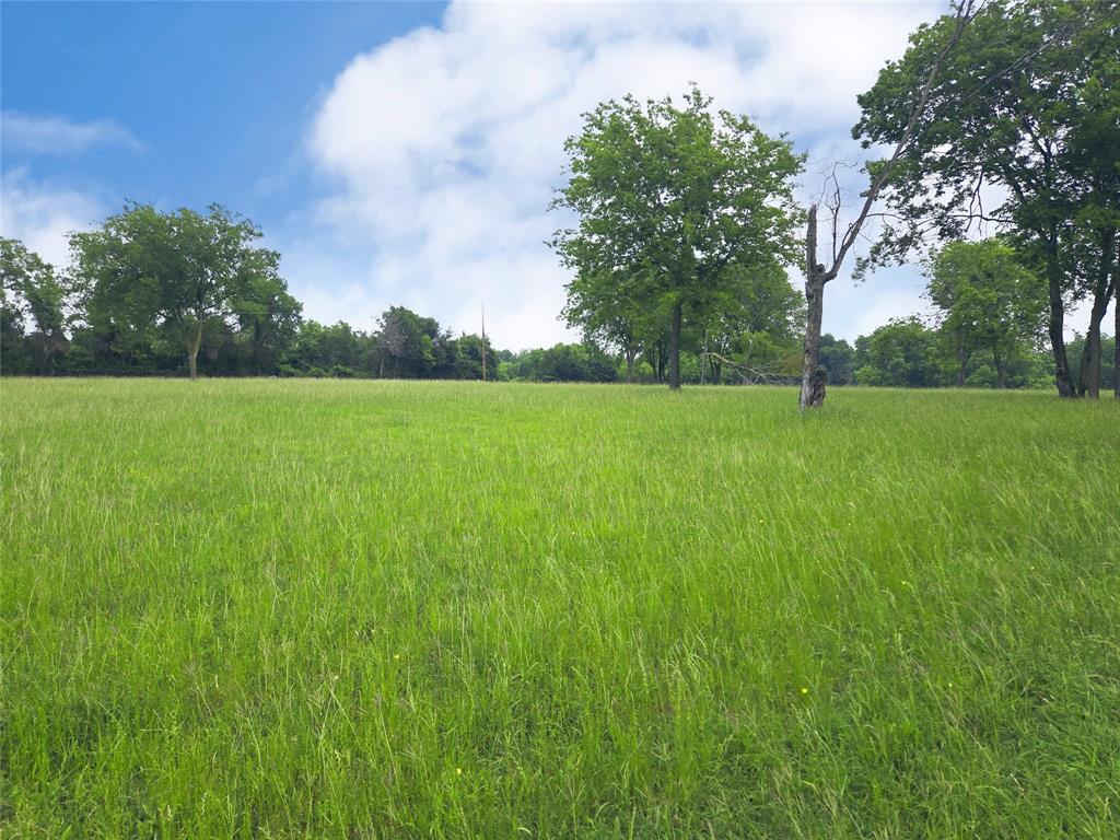 Lot 5 & 6 Francisco Bay Drive - Photo 9