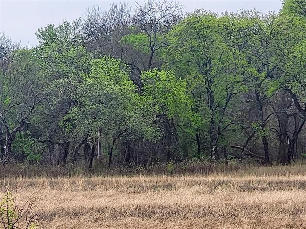 000 Hill Creek Lane - Photo 3