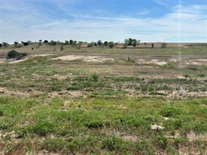 1025 Bear Creek Ranch Road - Photo 2