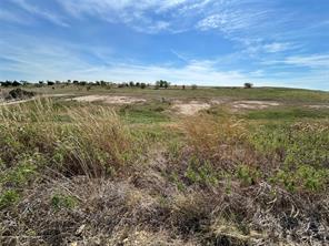 1025 Bear Creek Ranch Road - Photo 3