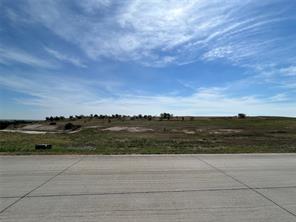 1025 Bear Creek Ranch Road - Photo 6