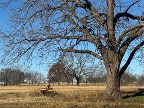 195 Smith Ranch Road - Photo 10