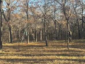 195 Smith Ranch Road - Photo 6