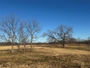 195 Smith Ranch Road - Photo 8