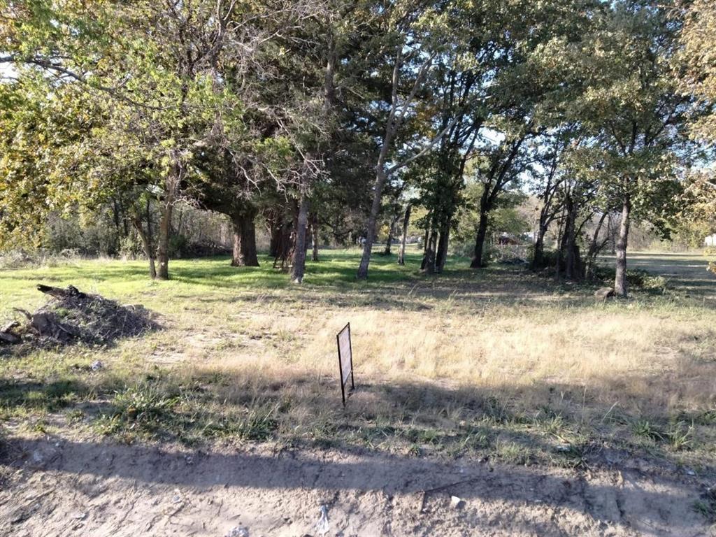 TBD Mineral Wells Street - Photo 1