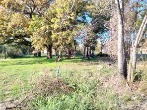 TBD Mineral Wells Street - Photo 2