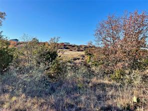 Lot 81 Hidden Shores Drive - Photo 10