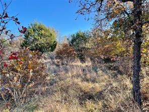 Lot 81 Hidden Shores Drive - Photo 34