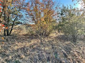 Lot 81 Hidden Shores Drive - Photo 36