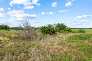 TBD China Spring Hwy - Photo 21