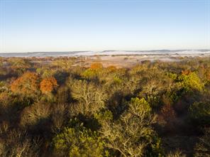 Lot 12 River Bend Ranch - Photo 11