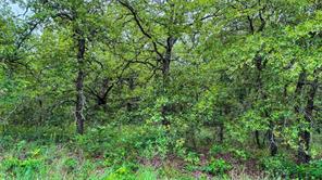 143 Briarwood Trail - Photo 19
