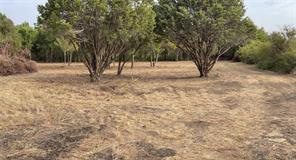 0000 Pioneer Crossing - Photo 5