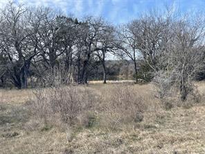 130 New Hope Lane - Photo 12