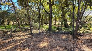 130 New Hope Lane - Photo 15