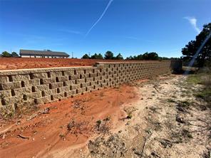 2256 Blue Mountain Boulevard - Photo 4