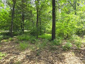 442 Waters Edge Drive - Photo 15