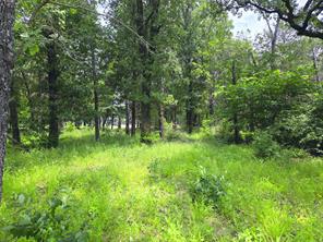 442 Waters Edge Drive - Photo 17
