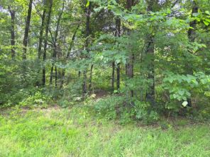 442 Waters Edge Drive - Photo 21