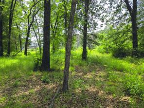 442 Waters Edge Drive - Photo 28