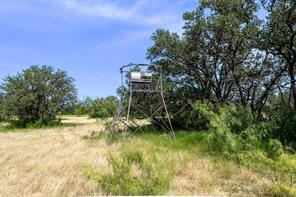 17921 Tx-16 - Photo 25